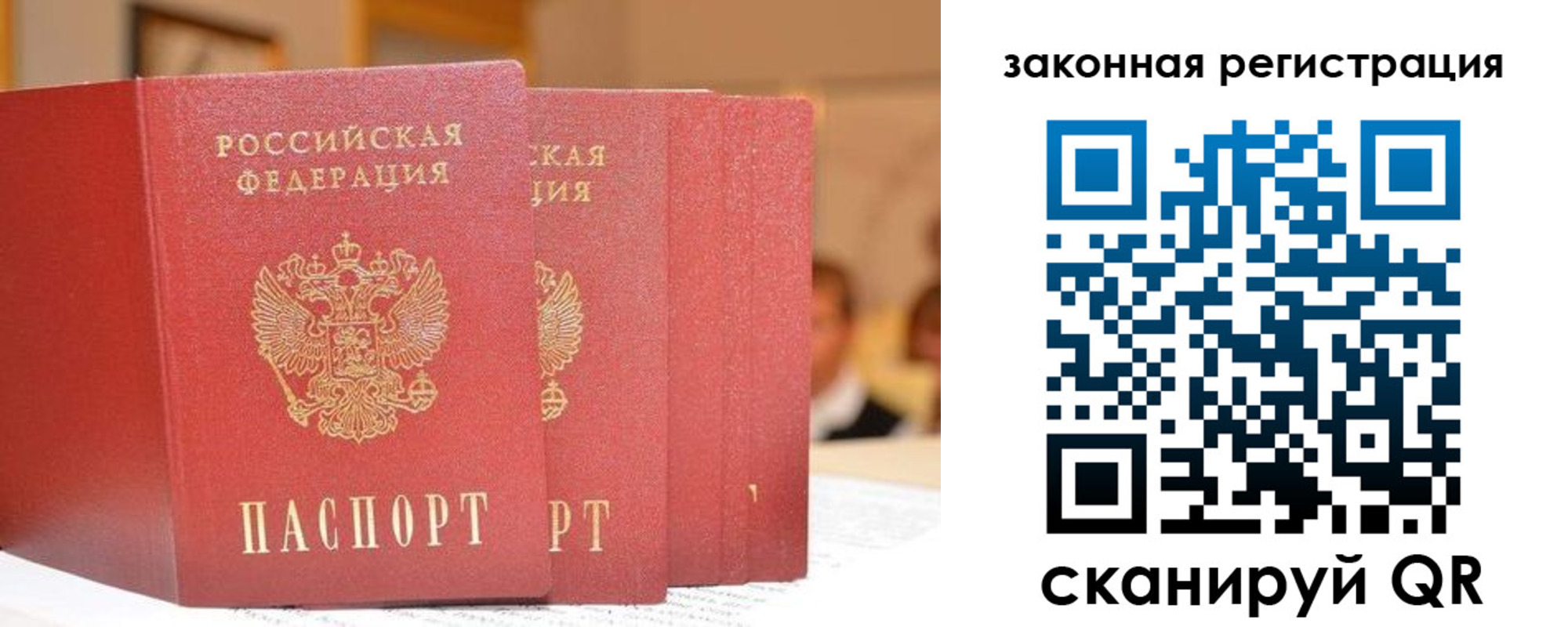 прописка поиск в Малоярославце